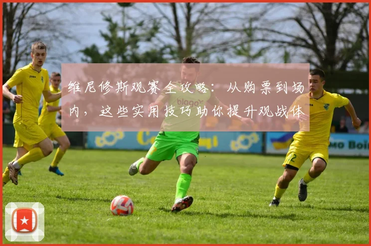 维尼修斯观赛全攻略:从购票到场内,这些实用技巧助你提升观战体验