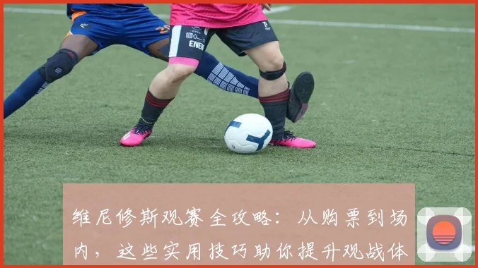 维尼修斯观赛全攻略:从购票到场内,这些实用技巧助你提升观战体验